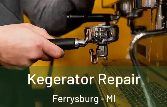  Kegerator Repair Ferrysburg - MI