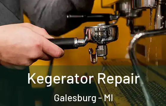 Kegerator Repair Galesburg - MI
