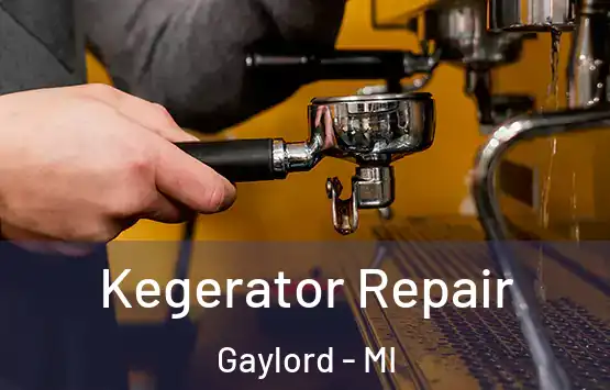  Kegerator Repair Gaylord - MI