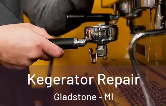  Kegerator Repair Gladstone - MI