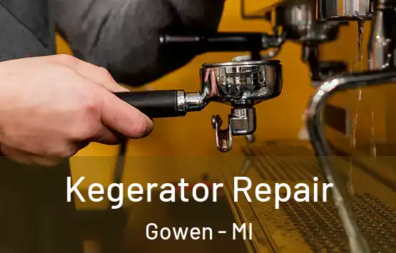  Kegerator Repair Gowen - MI
