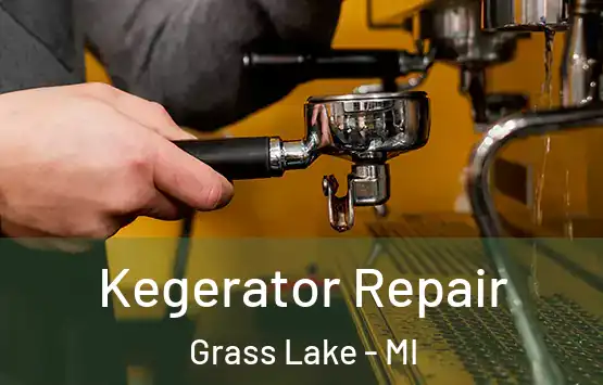  Kegerator Repair Grass Lake - MI