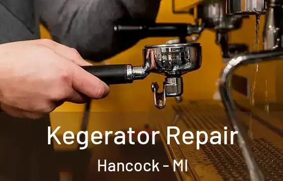 Kegerator Repair Hancock - MI
