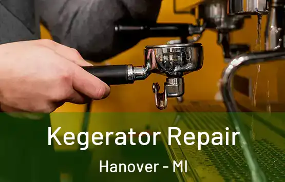  Kegerator Repair Hanover - MI