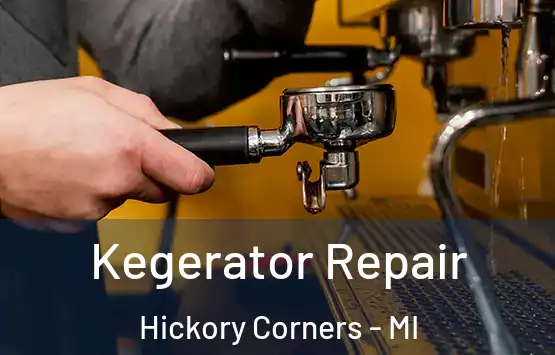  Kegerator Repair Hickory Corners - MI