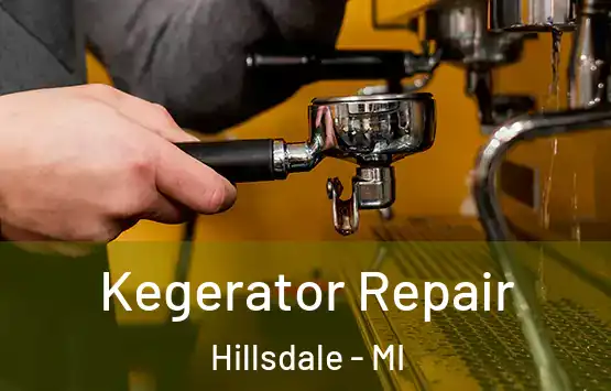  Kegerator Repair Hillsdale - MI
