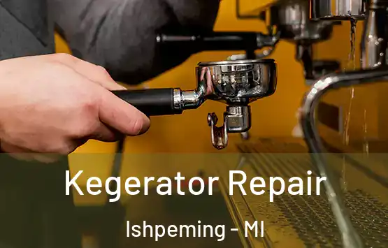  Kegerator Repair Ishpeming - MI