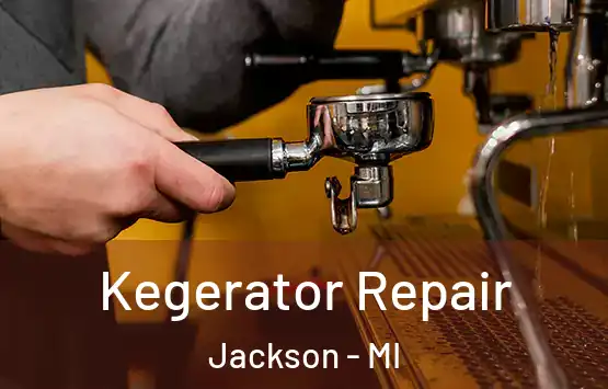 Kegerator Repair Jackson - MI