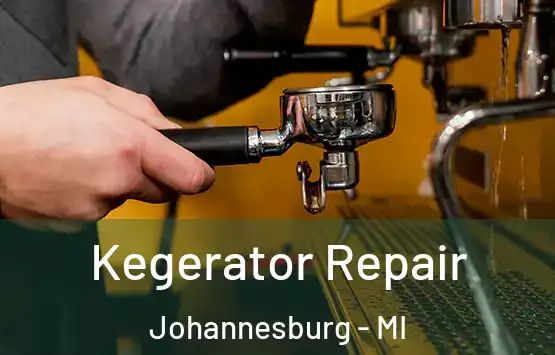  Kegerator Repair Johannesburg - MI