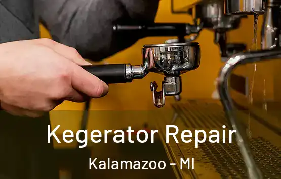  Kegerator Repair Kalamazoo - MI