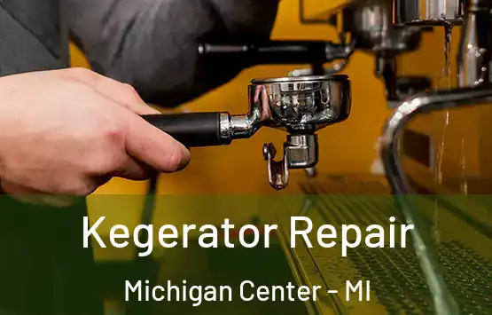  Kegerator Repair Michigan Center - MI