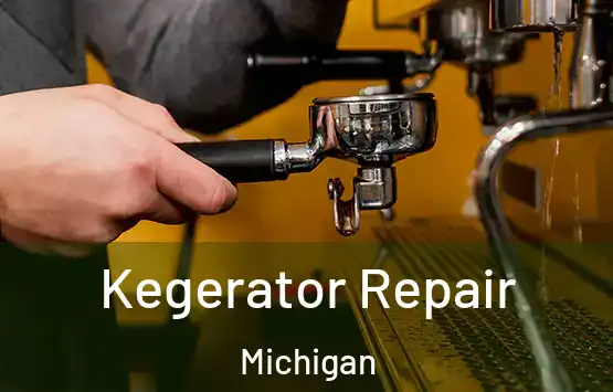  Kegerator Repair Michigan