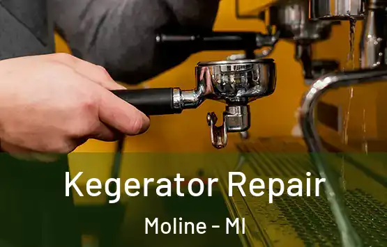  Kegerator Repair Moline - MI