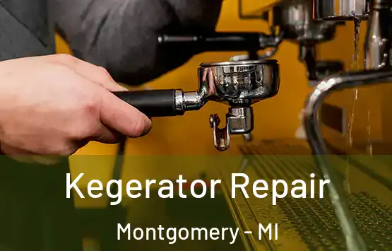  Kegerator Repair Montgomery - MI