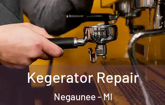  Kegerator Repair Negaunee - MI