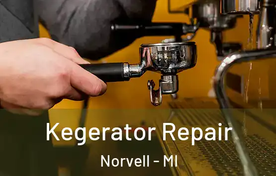  Kegerator Repair Norvell - MI