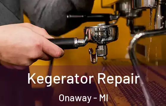  Kegerator Repair Onaway - MI