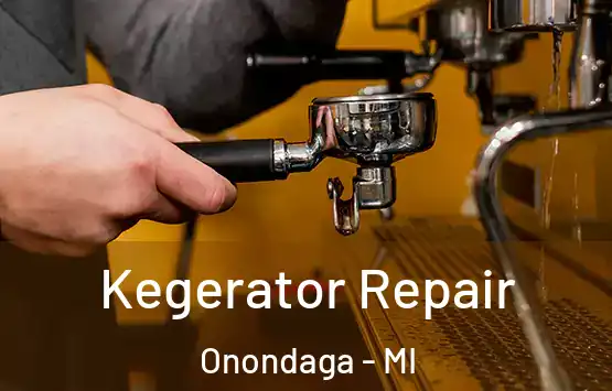  Kegerator Repair Onondaga - MI