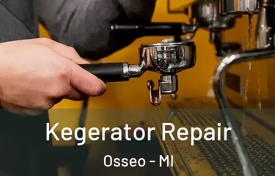  Kegerator Repair Osseo - MI