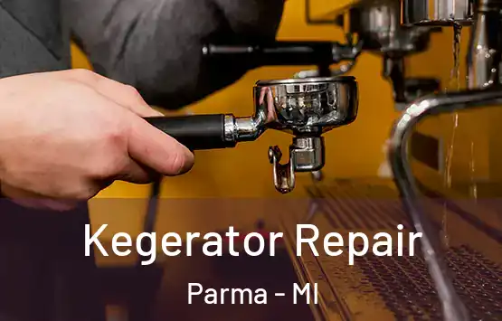  Kegerator Repair Parma - MI