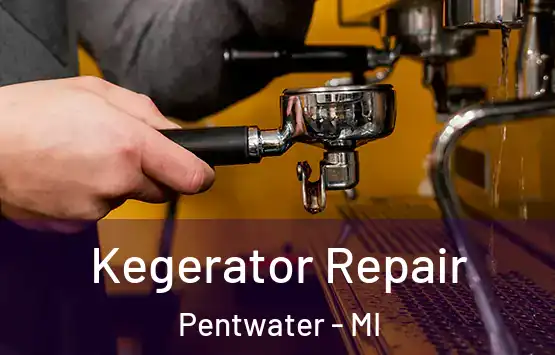  Kegerator Repair Pentwater - MI