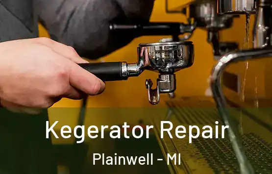  Kegerator Repair Plainwell - MI