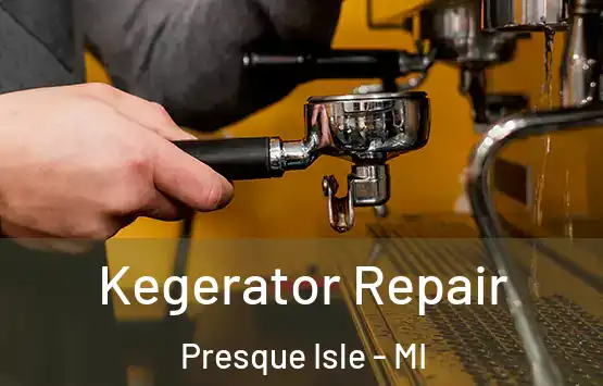  Kegerator Repair Presque Isle - MI