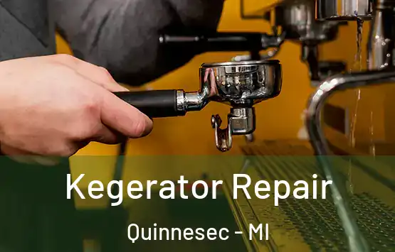  Kegerator Repair Quinnesec - MI
