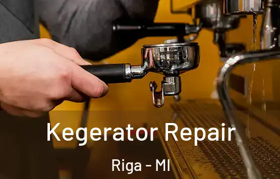  Kegerator Repair Riga - MI
