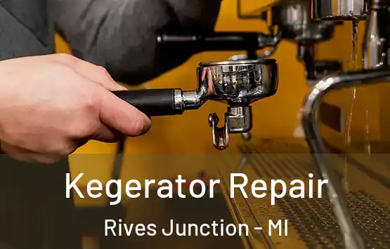  Kegerator Repair Rives Junction - MI