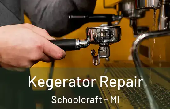  Kegerator Repair Schoolcraft - MI