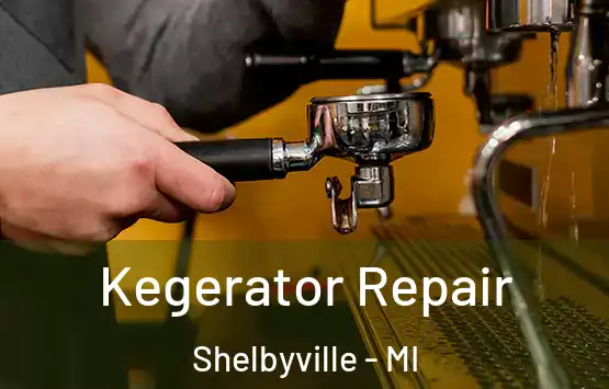  Kegerator Repair Shelbyville - MI