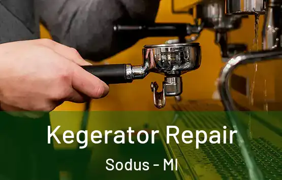  Kegerator Repair Sodus - MI
