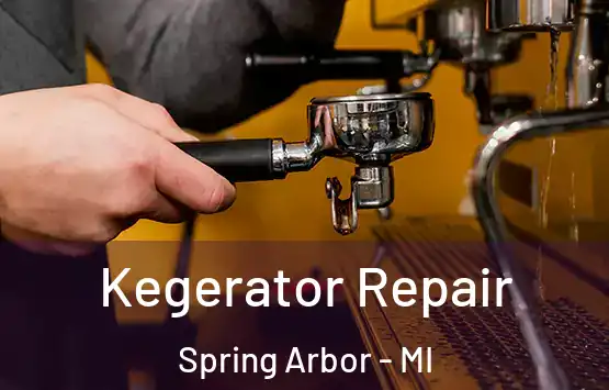  Kegerator Repair Spring Arbor - MI