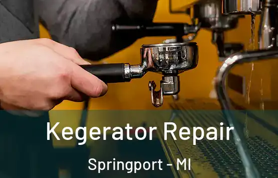  Kegerator Repair Springport - MI