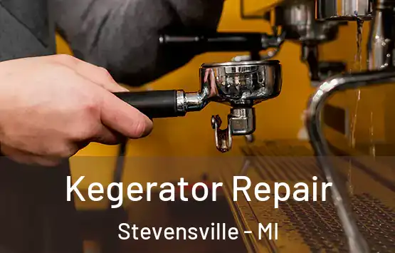  Kegerator Repair Stevensville - MI