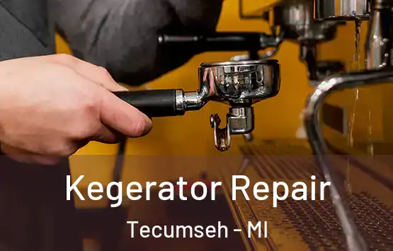  Kegerator Repair Tecumseh - MI