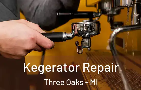  Kegerator Repair Three Oaks - MI