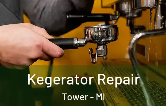  Kegerator Repair Tower - MI