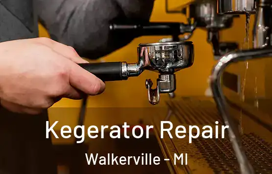  Kegerator Repair Walkerville - MI