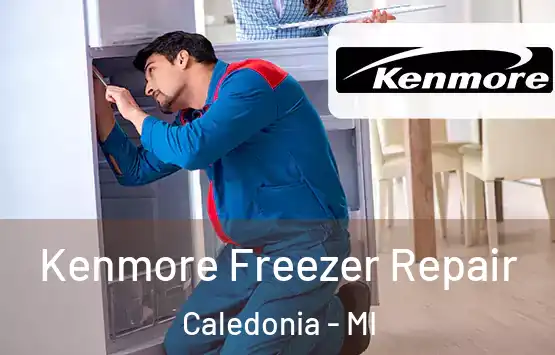  Kenmore Freezer Repair Caledonia - MI