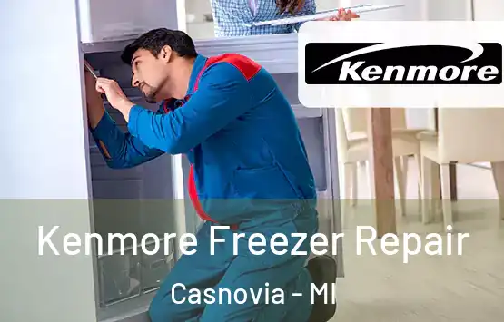  Kenmore Freezer Repair Casnovia - MI