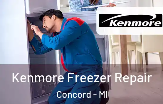  Kenmore Freezer Repair Concord - MI
