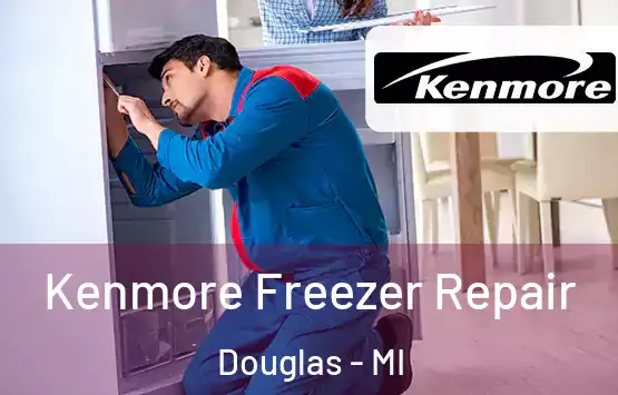  Kenmore Freezer Repair Douglas - MI