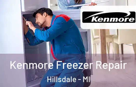  Kenmore Freezer Repair Hillsdale - MI
