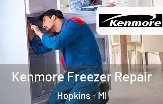  Kenmore Freezer Repair Hopkins - MI