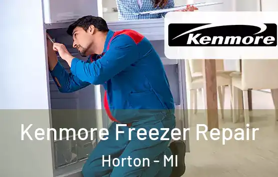  Kenmore Freezer Repair Horton - MI