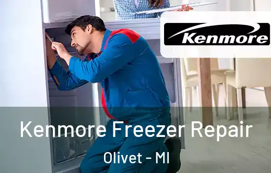  Kenmore Freezer Repair Olivet - MI