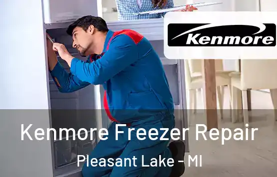  Kenmore Freezer Repair Pleasant Lake - MI