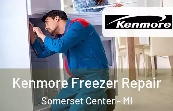  Kenmore Freezer Repair Somerset Center - MI